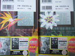 DSCF5397.JPG