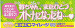 449a8745.jpg