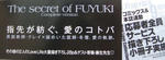 DSCF5714.JPG
