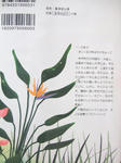 DSCF5983.JPG