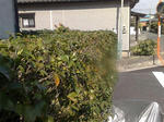 05032010301.jpg