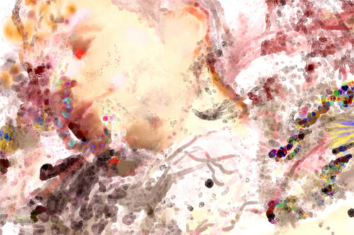 4b6b929e.jpg