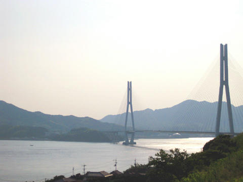 IMG_2444.jpg