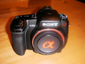 blog20080408-02.jpg