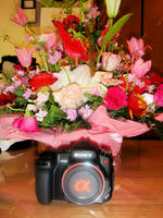 blog20080408-03.jpg