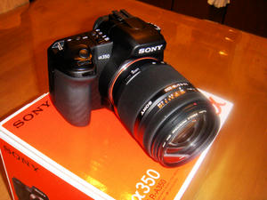 blog20080409-03.jpg