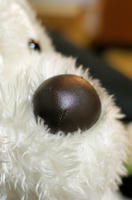 blog20080415-04.jpg