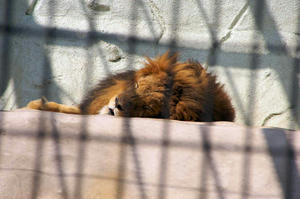 blog20080503-03.jpg
