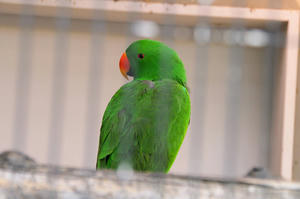 blog20080503-06.jpg