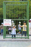 blog20080503-09.jpg