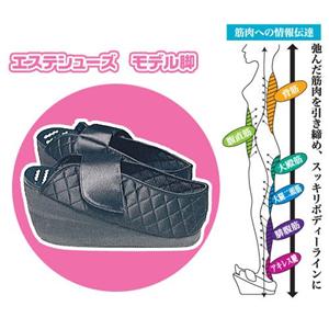 エステシューズ　モデル脚