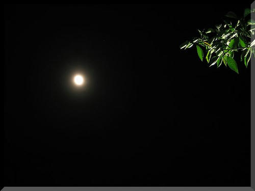 月夜