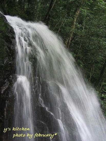 白糸の滝２