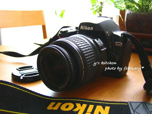 Nikon D40