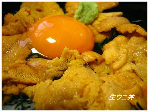 生ウニ丼　仙崎で