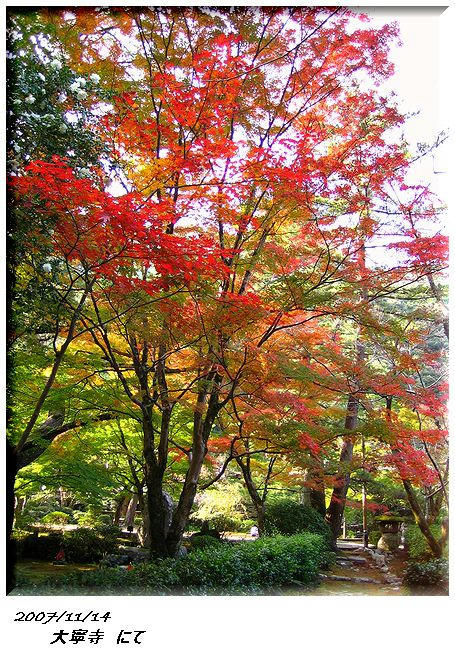 大寧寺１