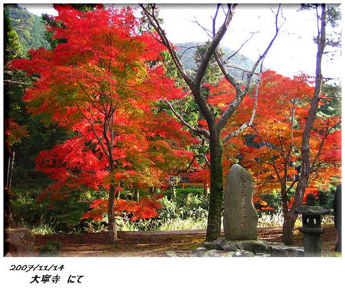 大寧寺３