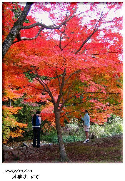 大寧寺５