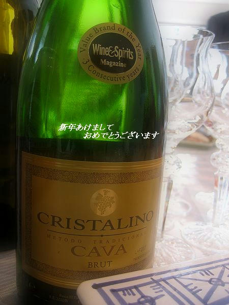 2008newyear-3