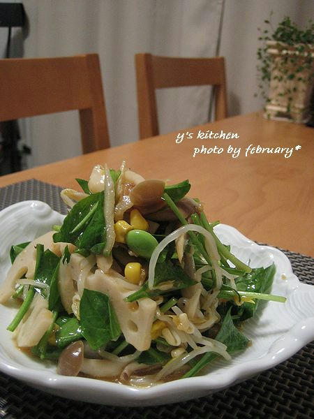 根菜サラダ