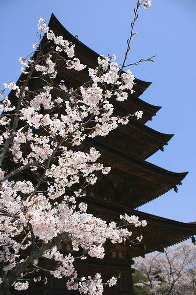 20080406-3-瑠璃光寺の桜