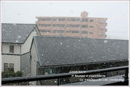 20081206吹雪