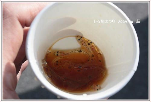 萩しろ魚まつり2009-1
