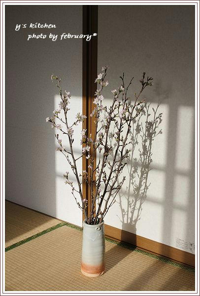 啓翁桜-5