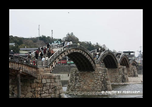 錦帯橋2009春-2