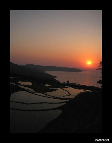 東後畑の棚田－２