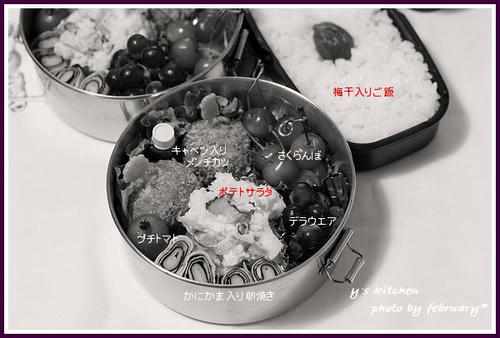 夜のお弁当20090624-1