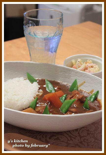 20100115_カレー１