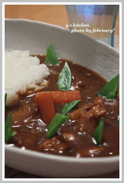 20100115_カレー２