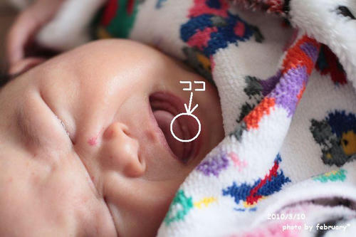 baby-20100310