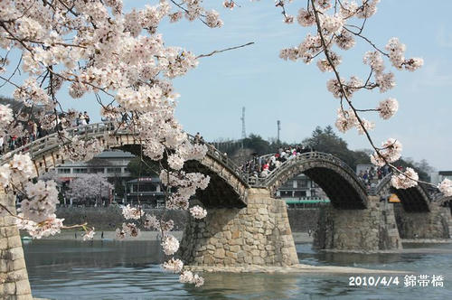sakura-20100404-2