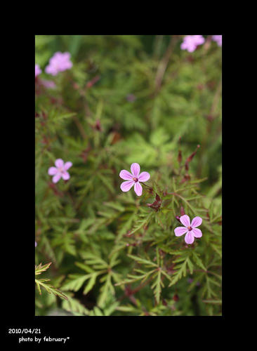 20100421-2
