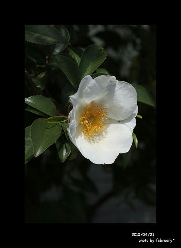 20100421-3