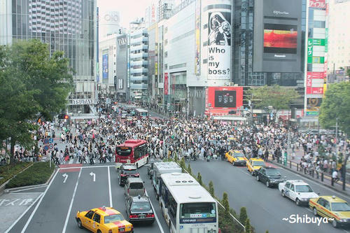 shibuya
