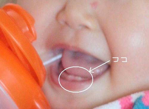20100603baby-6