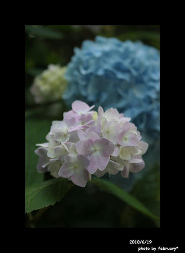 防府天満宮20100619-1