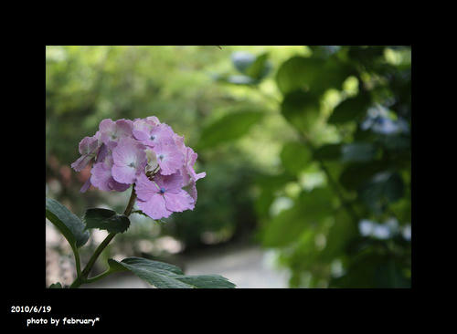 防府天満宮20100619-2