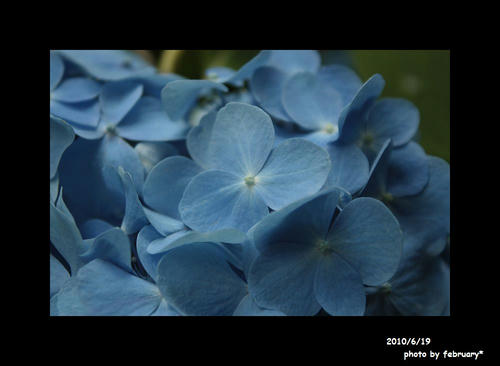 防府天満宮20100619-3