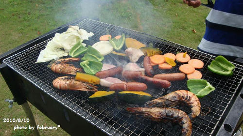 20100810BBQ