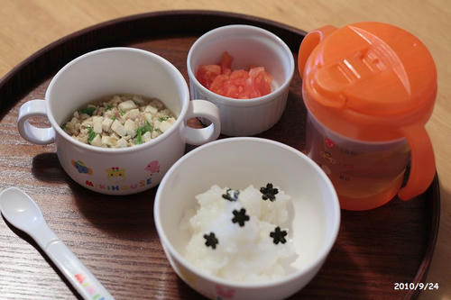 20100924-babyfood
