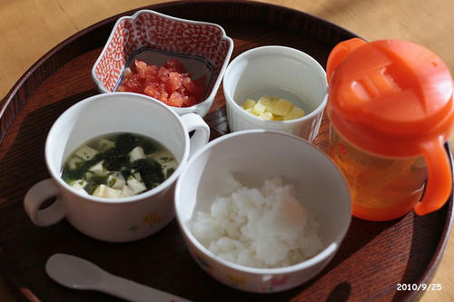 20100925-babyfood-1