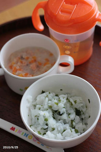 20100925-babyfood-2