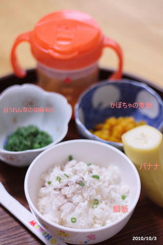 20101003-babyfoods