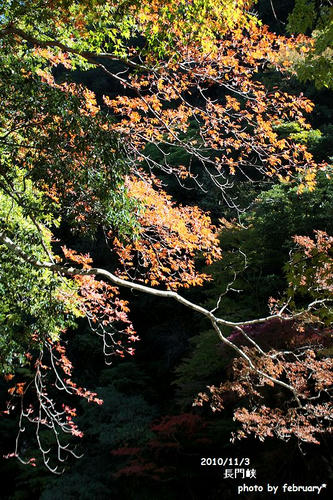 長門峡2010-2
