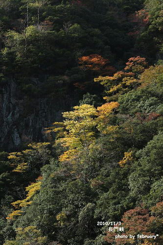 長門峡2010-4