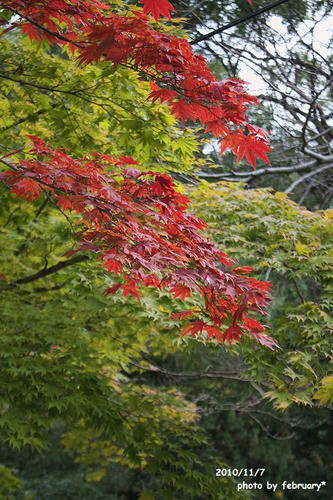 2010太寧寺－１